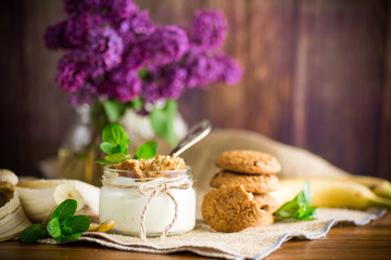 sweet homemade yogurt with fresh bananas and slices of oatmeal cookies