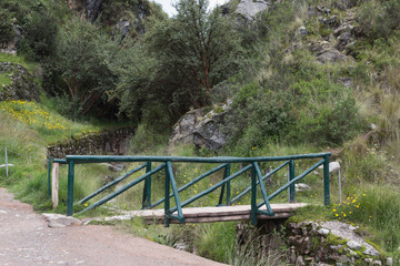 Fototapeta premium Bridge in the forest