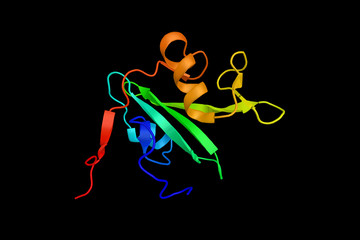 Fototapeta na wymiar Abelson murine leukemia viral oncogene homolog 1, a protein that, in humans, is encoded by the ABL1 gene (previous symbol ABL) located on chromosome 9. 3d rendering