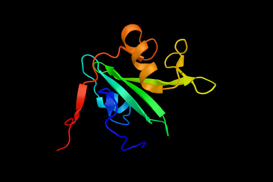 Abelson murine leukemia viral oncogene homolog 1, a protein that, in humans, is encoded by the ABL1 gene (previous symbol ABL) located on chromosome 9. 3d rendering