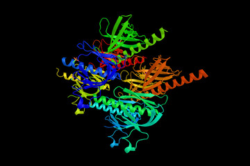 Fototapeta na wymiar RAC-gamma serine/threonine-protein kinase, a member of the AKT subfamily of serine/threonine protein kinases. 3d rendering