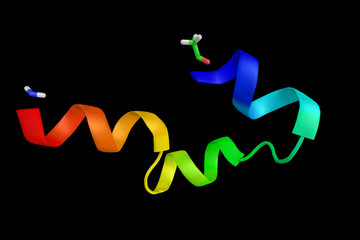 Cholecystokinin B receptor, a protein which has a high affinity for both sulfated and nonsulfated CCK analogs and is found principally in the central nervous system and the gastrointestinal tract