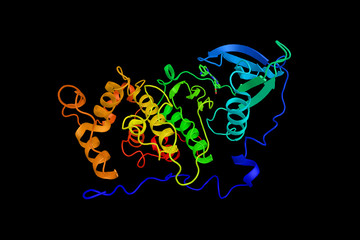 Casein kinase II subunit alpha, an enzyme which has been shown to interact with over 160 different substrates. 3d rendering