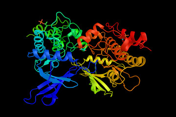 Death-associated protein kinase 3, an enzyme which induces morphological changes in apoptosis when overexpressed in mammalian cells. 3d rendering