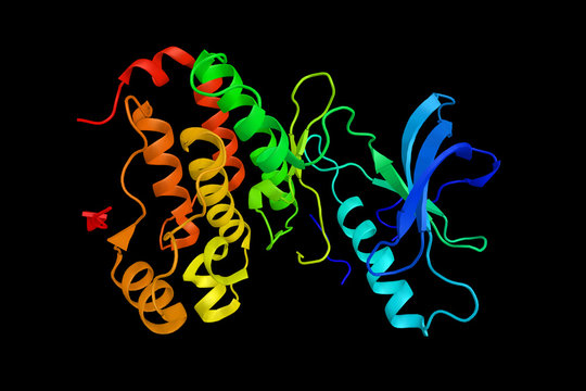 EPH receptor A3, a protein which has been shown to interact with EFNB2 and EFNA5. 3d rendering