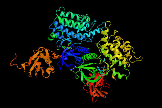 Cyclin G-associated kinase, known to be associated with focal adhesions. 3d rendering