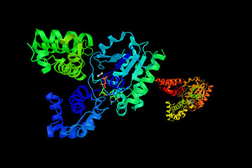 Obraz na płótnie Canvas Guanine nucleotide-binding protein G(o) subunit alpha, a protein that in humans is encoded by the GNAO1 gene. Mutations in this gene have been shown to cause epileptic encephalopathy. 3d rendering