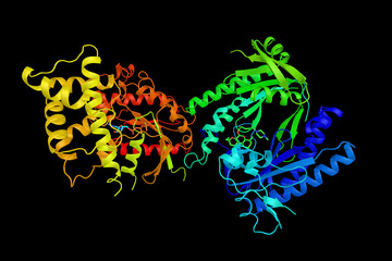 GNAS complex locus, also known as GNAS, a protein which in humans is encoded by the GNAS gene. The stimulatory G-protein alpha subunit (Gs-alpha), a key component of many signal transduction pathways
