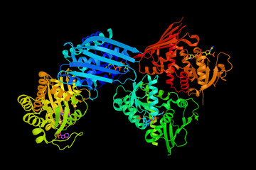 Human biliverdin reductase A, an isozyme of Biliverdin reductase found in humans. 3d rendering