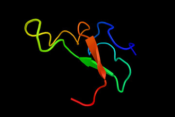 Insulin-like growth factor-binding protein 5, a protein that in humans is encoded by the IGFBP5 gene. May have connection to bone loss with aging. 3d rendering