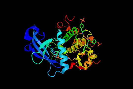 Insulin Receptor, A Transmembrane Receptor That Is Activated By Insulin, IGF-I And IGF-II. Plays A Key Role In The Regulation Of Glucose Homeostasis. 3d Rendering