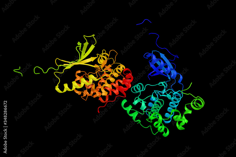 Sticker NIMA (never in mitosis gene a)-related kinase 1, thought to be involved in amytrophic lateral sclerosis. 3d rendering