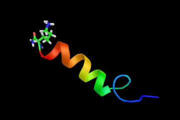 Pituitary adenylate cyclase-activating polypeptide, a protein which binds to vasoactive intestinal peptide receptor and to the PACAP receptor. 3d rendering