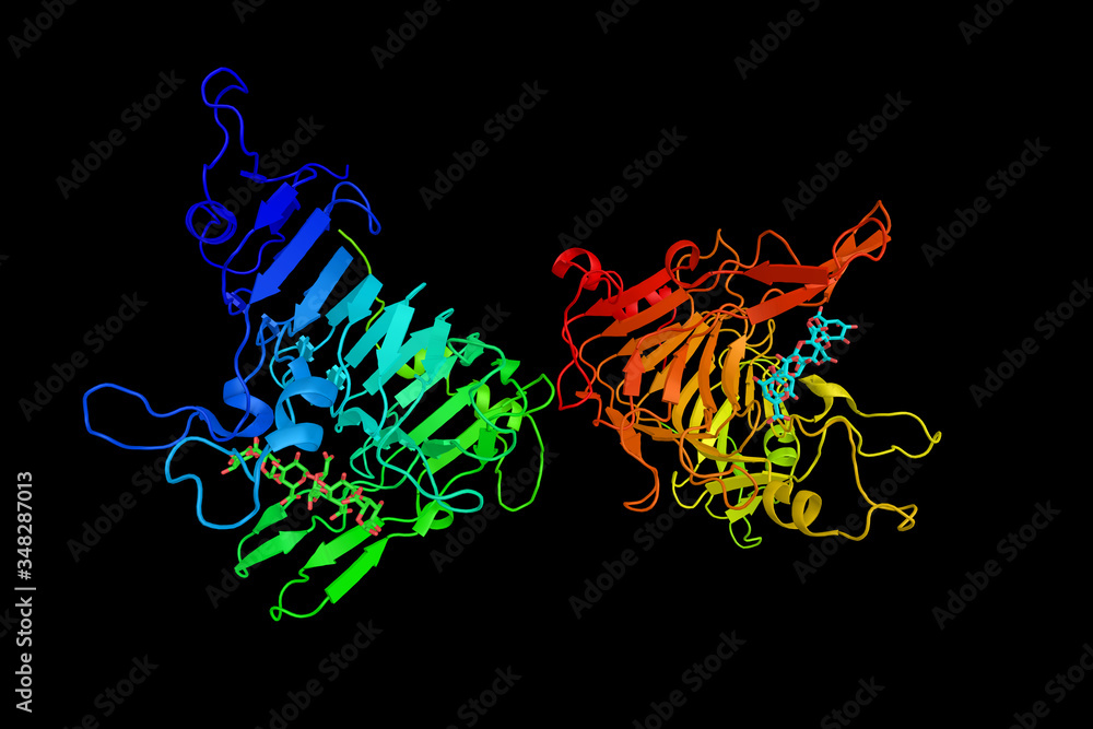 Poster pectinesterase, a ubiquitous cell-wall-associated enzyme that presents several isoforms that facilit