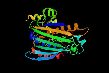 Phosphatidylinositol transfer protein, a ubiquitous cytosolic domain involved in transport of phospholipids from their site of synthesis in the endoplasmic reticulum and Golgi to other cell membranes