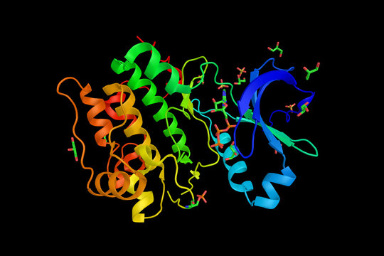 Phosphoinositide-dependent kinase-1, a protein implicated in the development and progression of melanomas. 3d rendering