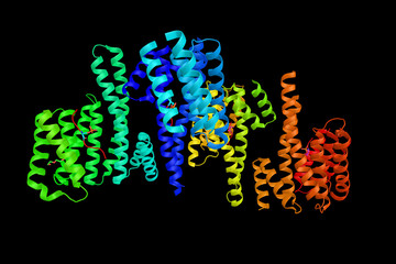 Protein kinase C epsilon type, an enzyme which modulates cardiac cell metabolism through its actions at mitochondria. 3d rendering