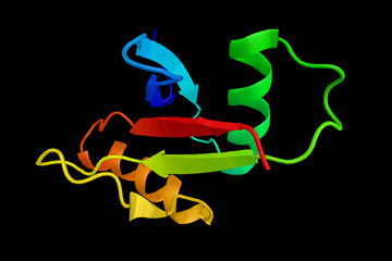 Protein kinase C iota type, an enzyme involved in a wide variety of cellular processes. 3d rendering