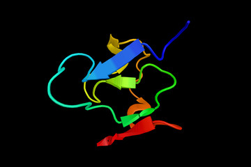 PML, a tumor suppressor protein required for the assembly of a number of nuclear structures, called PML-nuclear bodies, which form amongst the chromatin of the cell nucleus. 3d rendering