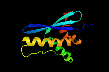 Serine/threonine-protein kinase Sgk3, a phosphoprotein with a PX (phox homology) domain. 3d rendring