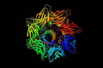 Alpha-toxin, the major cytotoxic agent released by bacterium Staphylococcus aureus and the first identified member of the pore forming beta-barrel toxin family. Causes cell death. 3d rendering