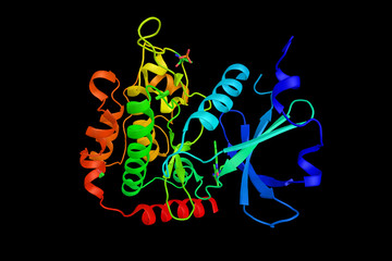 Serine/threonine-protein kinase 25, an enzyme that in humans is encoded by the STK25 gene. Involved in stress response. 3d rendering