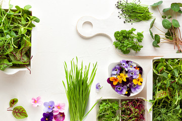 Different types of organic microgreens sprouts and edible flowers. Vegetarian, clean and healthy...