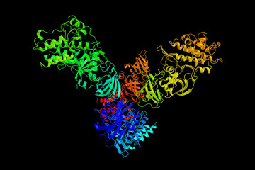 TGF beta receptor 1, a protein which forms a heteromeric complex with type II TGF-beta receptors when bound to TGF-beta, transducing the TGF-beta signal from the cell surface to the cytoplasm