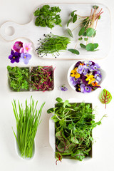 Different types of organic microgreens sprouts and edible flowers. Vegetarian, clean and healthy eating concept. Seed germination at home..
