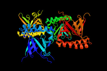 Translationally Controlled Tumor Protein (TCTP), a protein that in humans is encoded by the TPT1 gene. A growth-related, calcium-binding protein. 3d rendering
