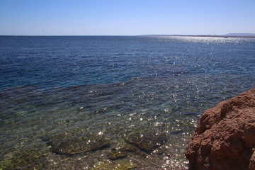 Fototapeta na wymiar Transparent waters of Red Sea. Rocky shore. Water glistens in the sun. Horizon. Great place for vacation