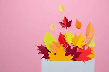 Autumn leaves in an envelope on a pink background