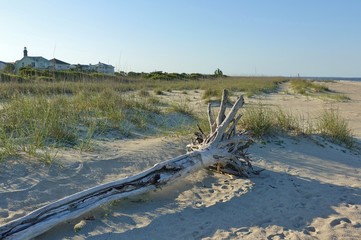 Fototapeta na wymiar View of an empty sandy beach in Tybee Island, near Savannah, Georgia, United States