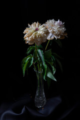 pink and white flower