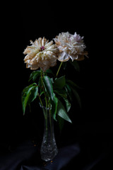 pink and white flower