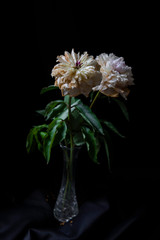 pink and white flower