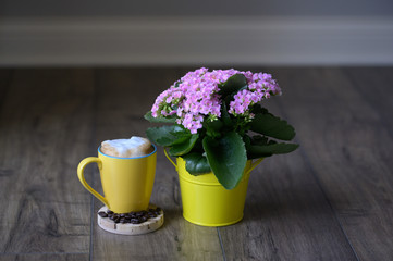 coffee