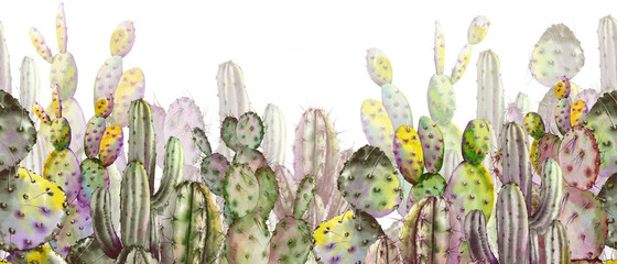 Seamless banner with green cactus plants. - obrazy, fototapety, plakaty