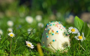 White chocolate egg with varicolored sugar sprinkles in the green meadow between white daisy in sunshine, easter 