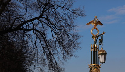 Trees and a coat of arms on a blue s