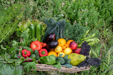 fresh and natural vegetables in a basket