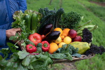 fresh and natural vegetables in a basket