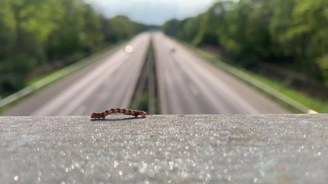 Die Entschleunigung der Autobahnraupe (Video) / the deceleration of the caterpillar (Movie Clip)