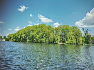 lake and forest