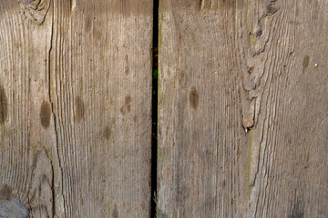Wooden background