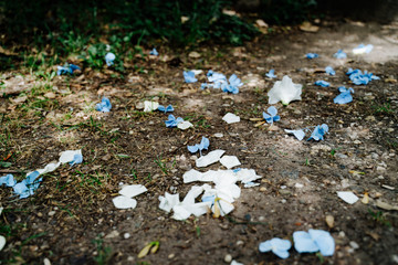 photo of flower petals on the grass