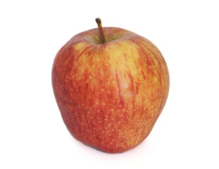 ripe red yellow fresh Apple fruit on a white background