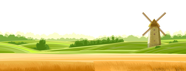 Wheat field landskape. Isolated Vector on a white background. Green grassy hills. Windmill for grinding flour. Rural rustic scenery. Trees, shrubs. Flat style. © WebPAINTER-Std
