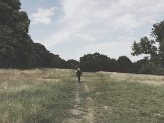 Fototapeta premium woman walking in the field