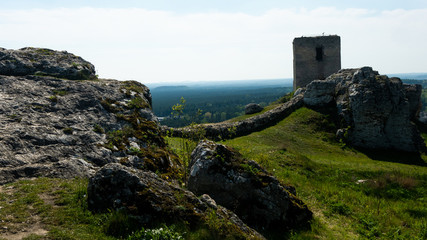 Ruins of the castle in Olsztyn. Free space for an inscription